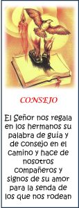 consejo